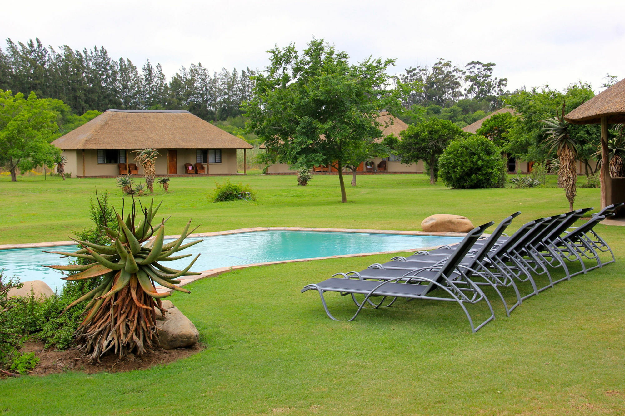 Chrislin African Lodge Addo Eksteriør bilde